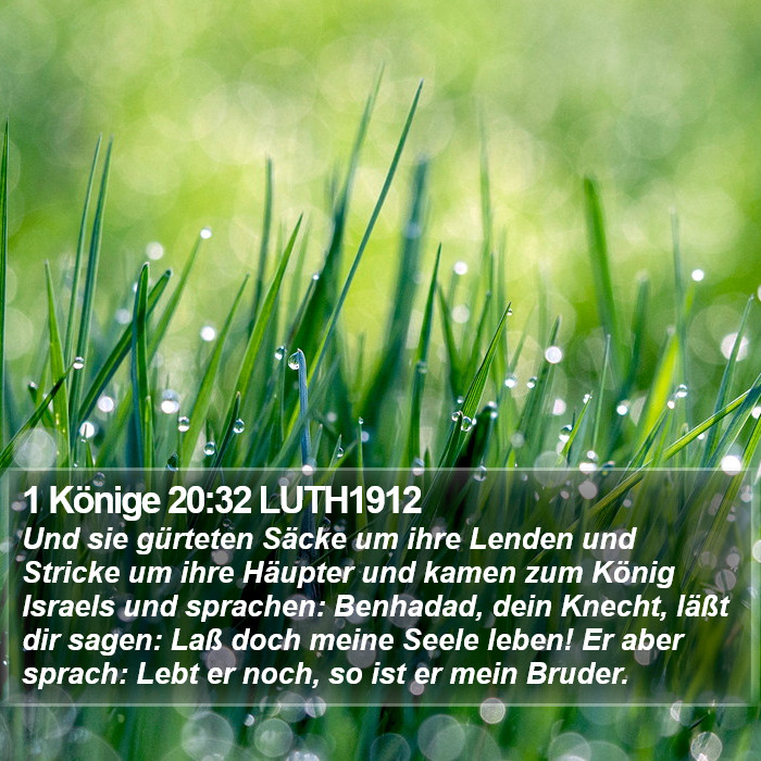 1 Könige 20:32 LUTH1912 Bible Study