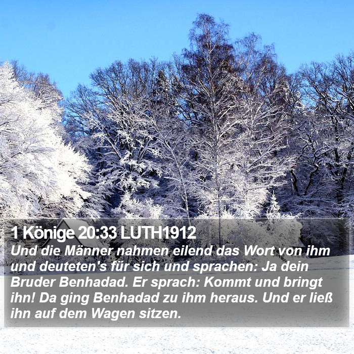 1 Könige 20:33 LUTH1912 Bible Study