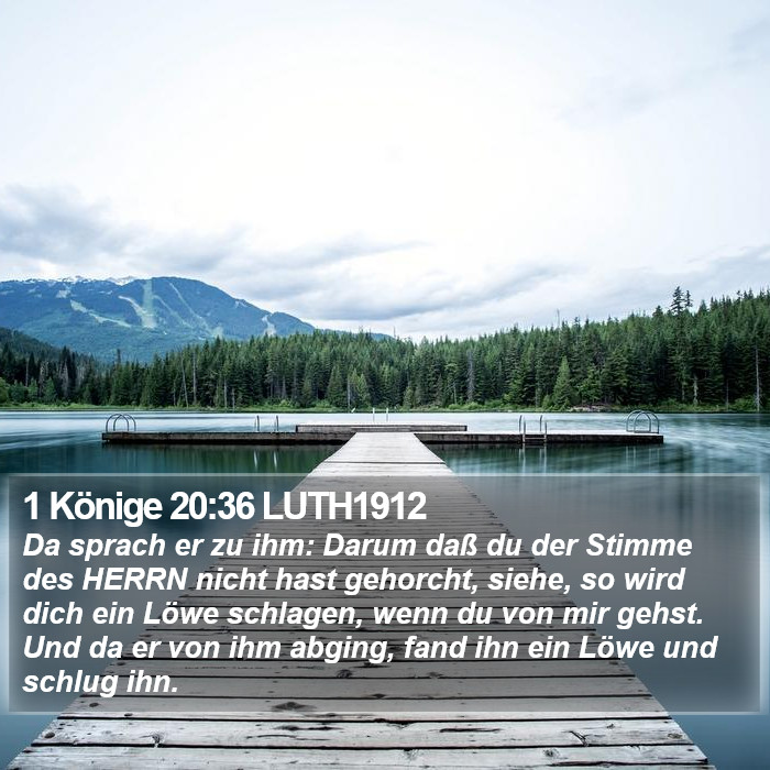 1 Könige 20:36 LUTH1912 Bible Study