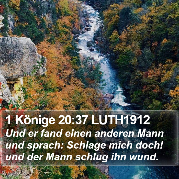 1 Könige 20:37 LUTH1912 Bible Study