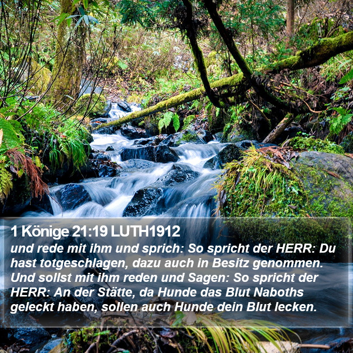 1 Könige 21:19 LUTH1912 Bible Study