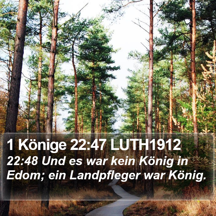 1 Könige 22:47 LUTH1912 Bible Study