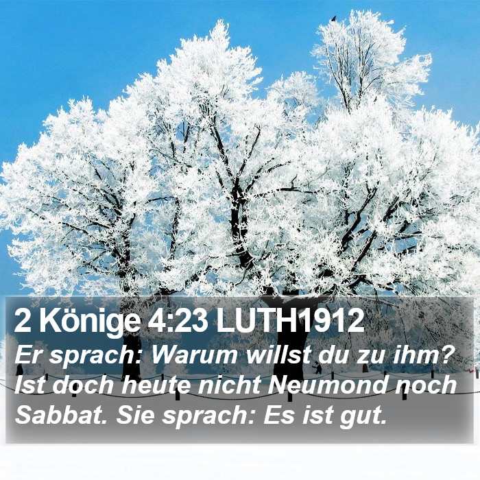 2 Könige 4:23 LUTH1912 Bible Study
