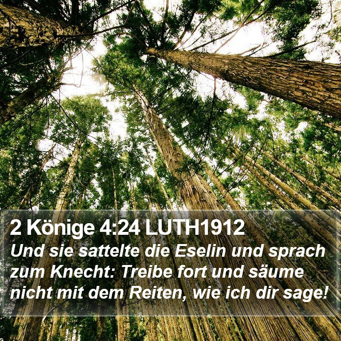 2 Könige 4:24 LUTH1912 Bible Study