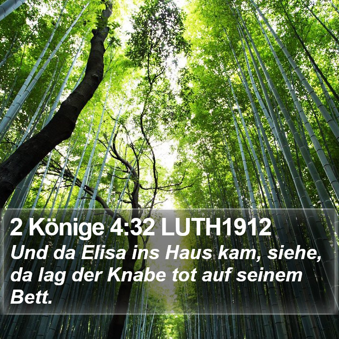 2 Könige 4:32 LUTH1912 Bible Study