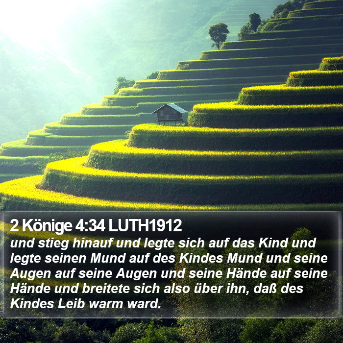2 Könige 4:34 LUTH1912 Bible Study