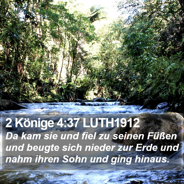 2 Könige 4:37 LUTH1912 Bible Study