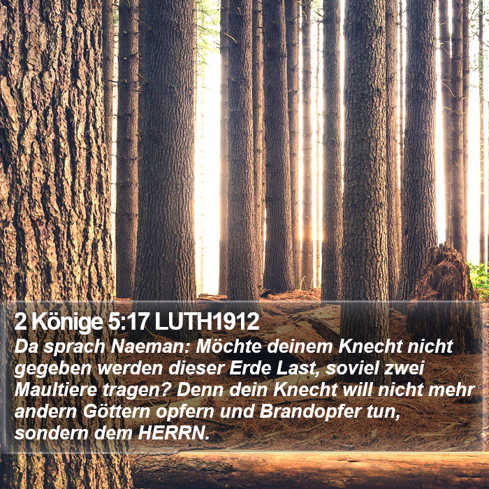 2 Könige 5:17 LUTH1912 Bible Study