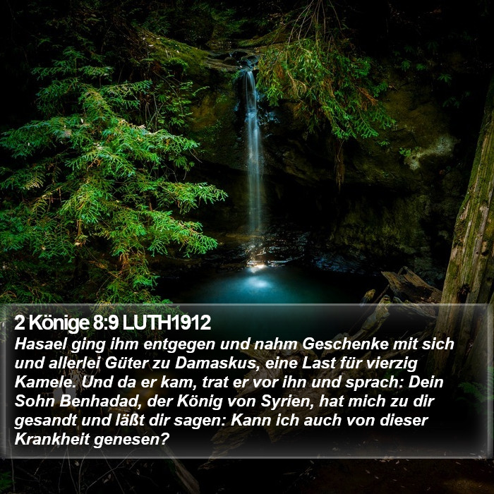 2 Könige 8:9 LUTH1912 Bible Study