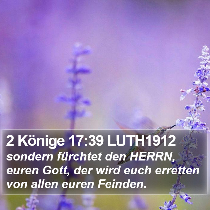 2 Könige 17:39 LUTH1912 Bible Study