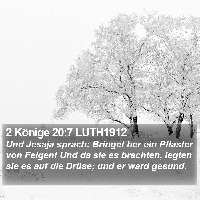 2 Könige 20:7 LUTH1912 Bible Study