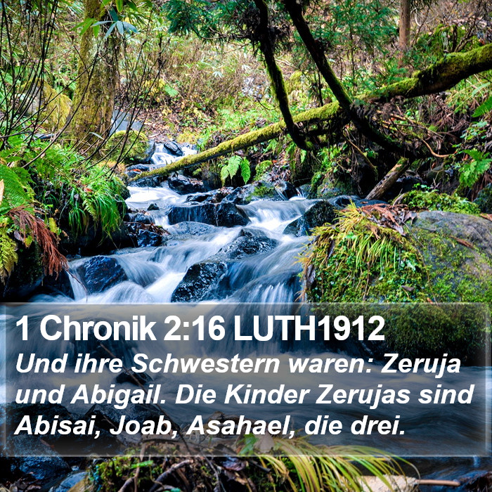 1 Chronik 2:16 LUTH1912 Bible Study