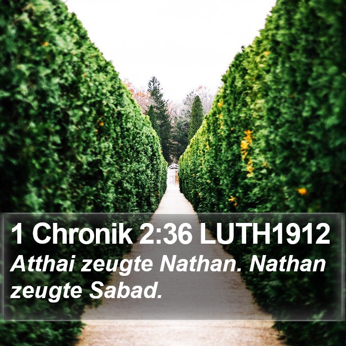 1 Chronik 2:36 LUTH1912 Bible Study