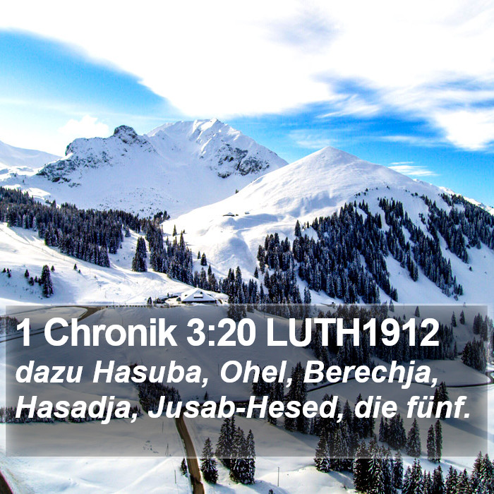 1 Chronik 3:20 LUTH1912 Bible Study