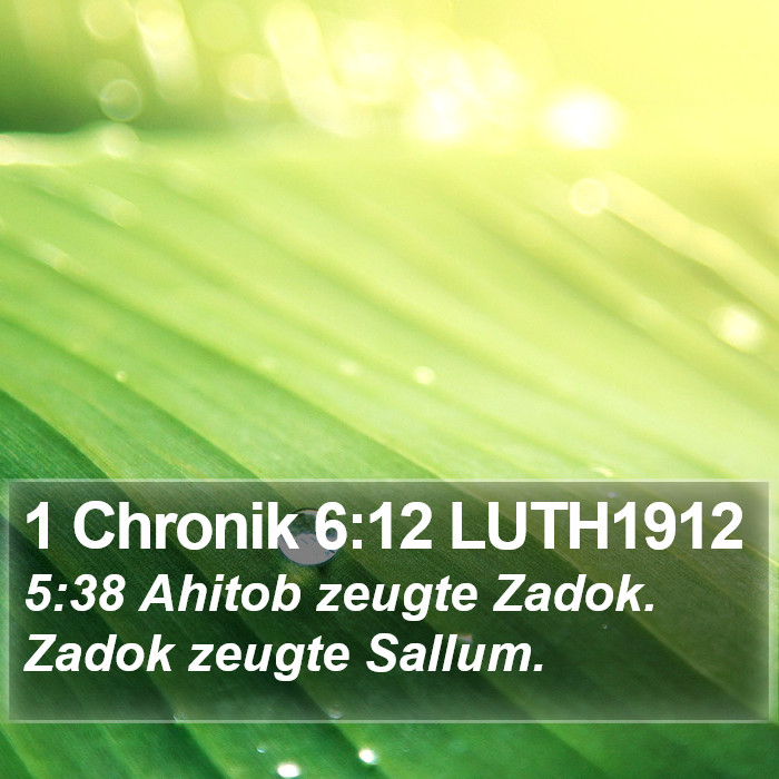 1 Chronik 6:12 LUTH1912 Bible Study