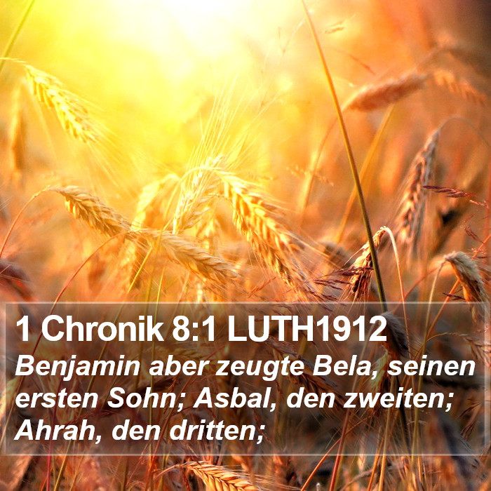 1 Chronik 8:1 LUTH1912 Bible Study