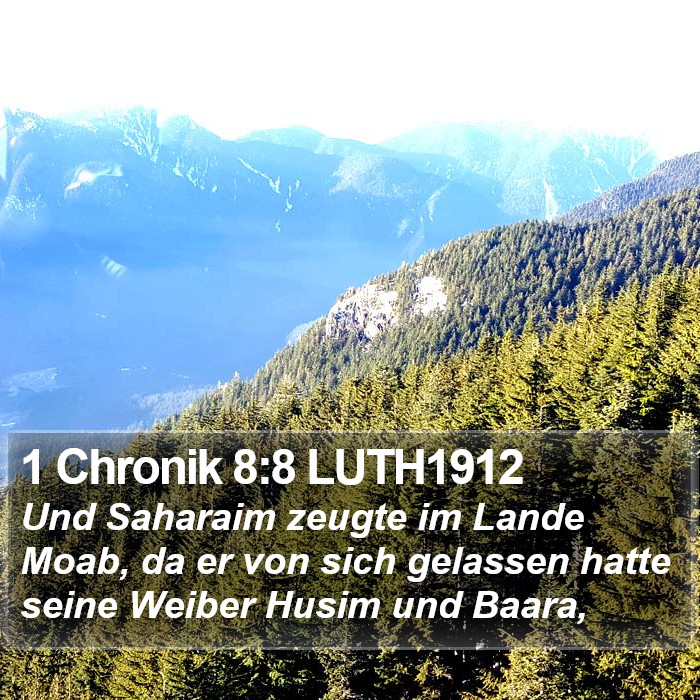 1 Chronik 8:8 LUTH1912 Bible Study