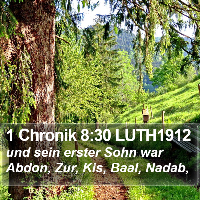 1 Chronik 8:30 LUTH1912 Bible Study