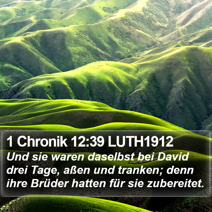 1 Chronik 12:39 LUTH1912 Bible Study