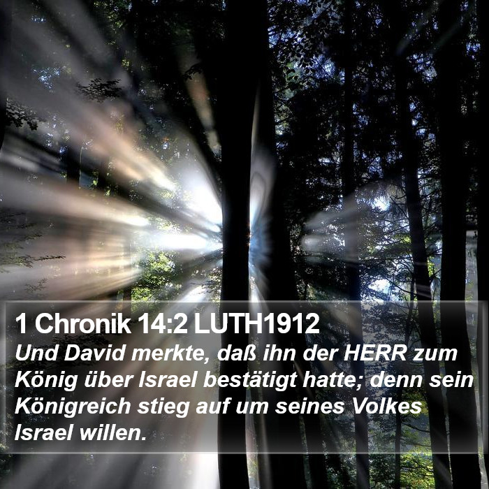 1 Chronik 14:2 LUTH1912 Bible Study