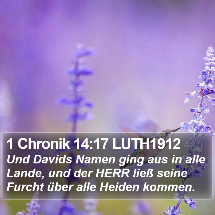 1 Chronik 14:17 LUTH1912 Bible Study