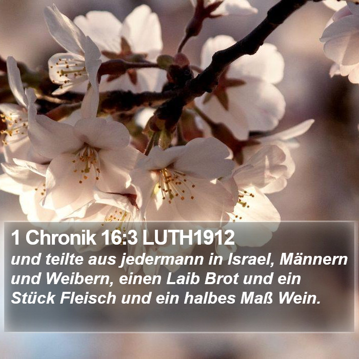 1 Chronik 16:3 LUTH1912 Bible Study