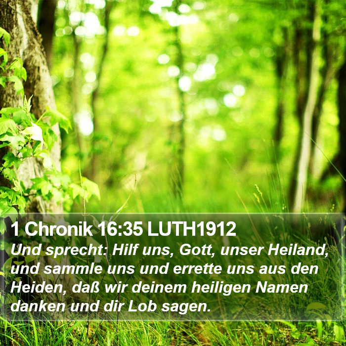 1 Chronik 16:35 LUTH1912 Bible Study