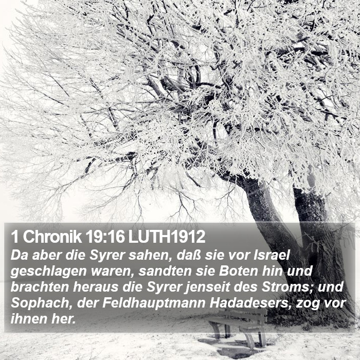 1 Chronik 19:16 LUTH1912 Bible Study