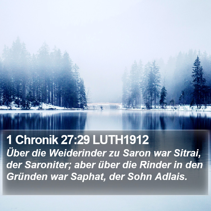 1 Chronik 27:29 LUTH1912 Bible Study