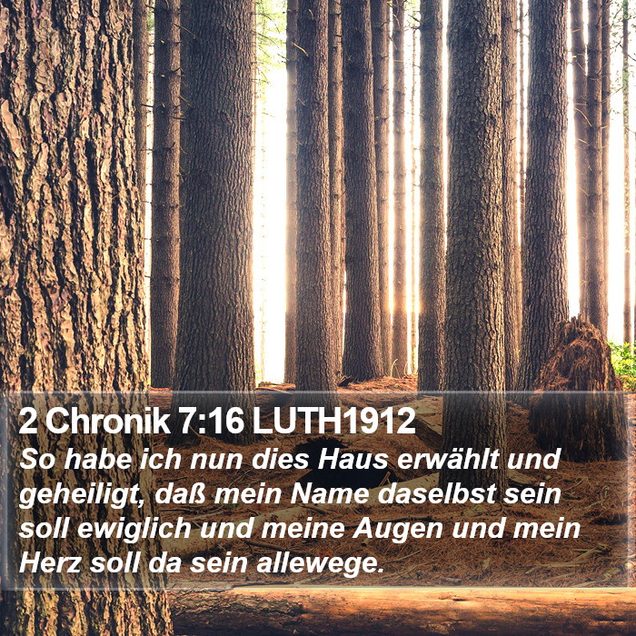 2 Chronik 7:16 LUTH1912 Bible Study