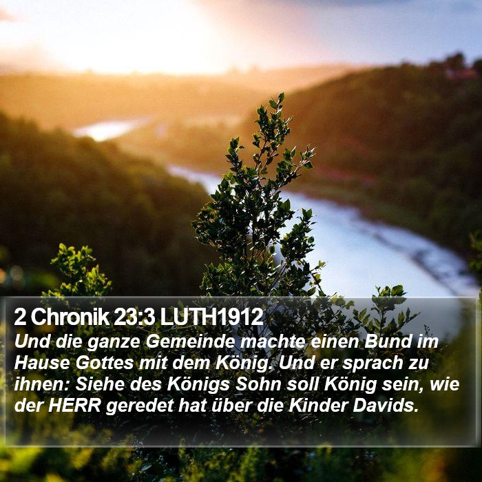 2 Chronik 23:3 LUTH1912 Bible Study