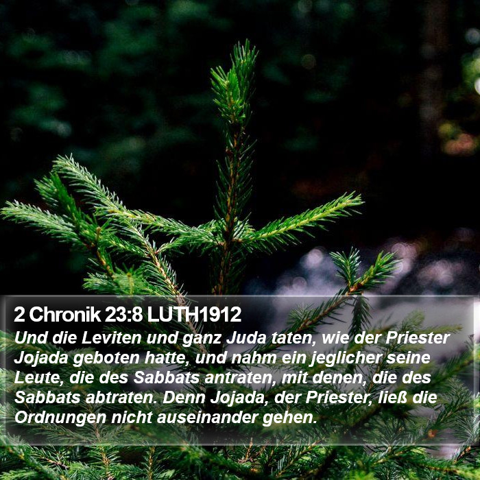 2 Chronik 23:8 LUTH1912 Bible Study