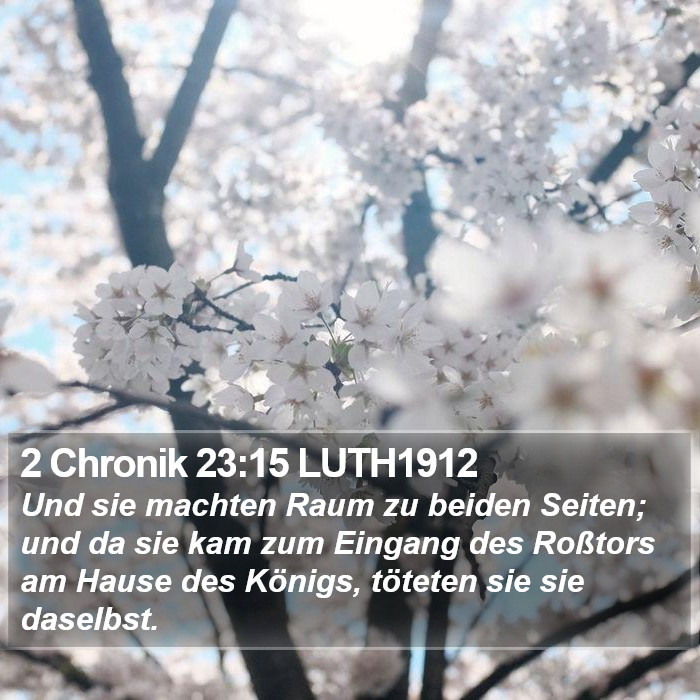 2 Chronik 23:15 LUTH1912 Bible Study