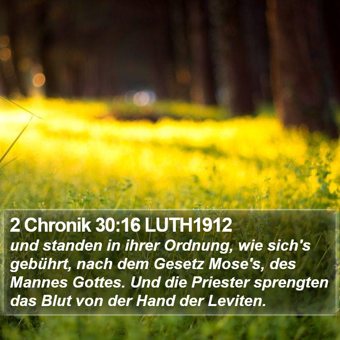 2 Chronik 30:16 LUTH1912 Bible Study