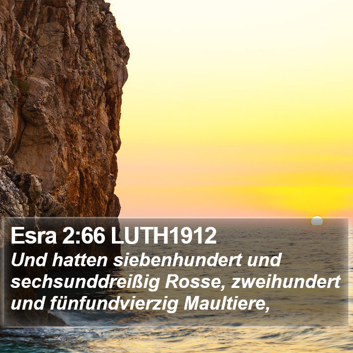 Esra 2:66 LUTH1912 Bible Study