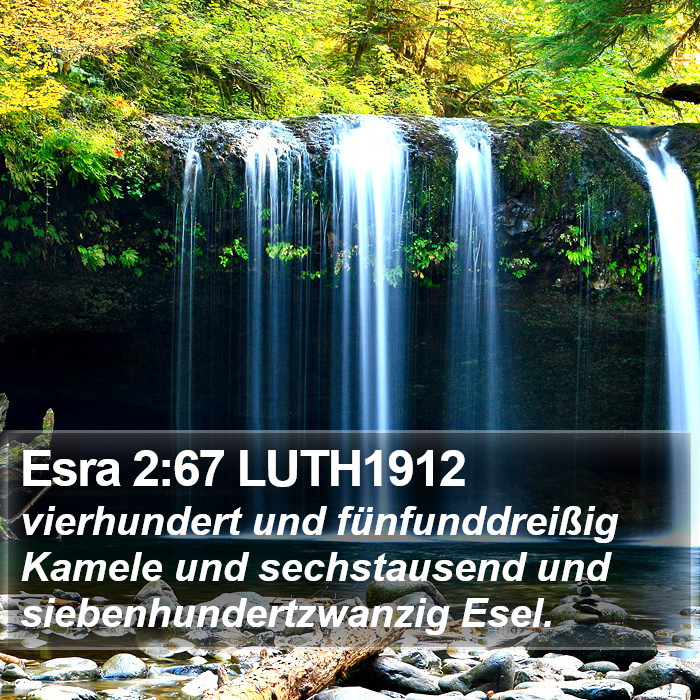 Esra 2:67 LUTH1912 Bible Study
