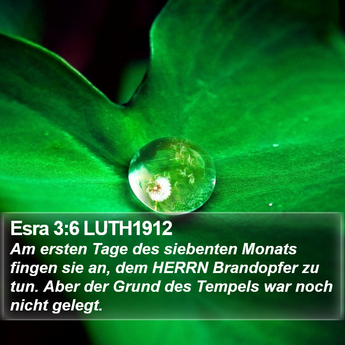 Esra 3:6 LUTH1912 Bible Study