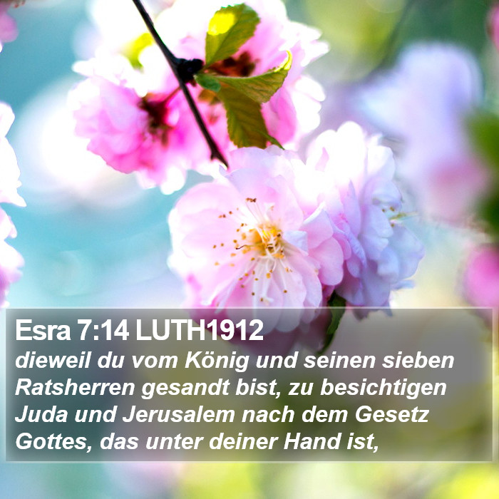 Esra 7:14 LUTH1912 Bible Study