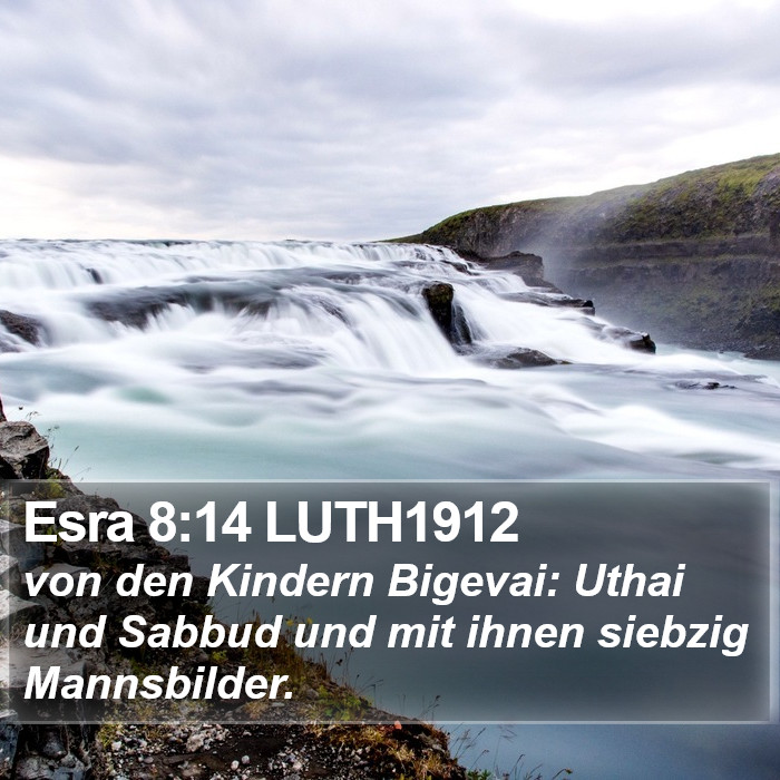 Esra 8:14 LUTH1912 Bible Study
