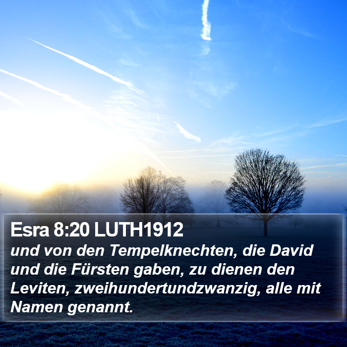 Esra 8:20 LUTH1912 Bible Study