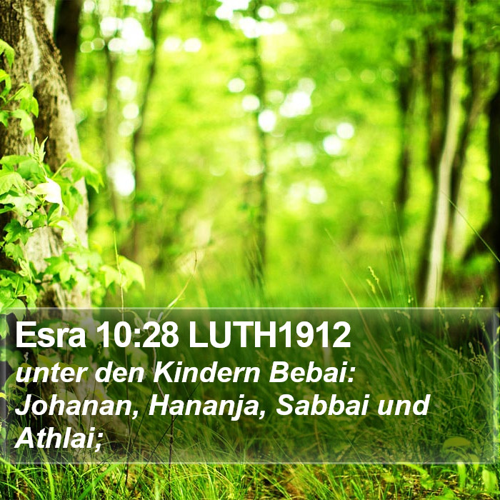 Esra 10:28 LUTH1912 Bible Study
