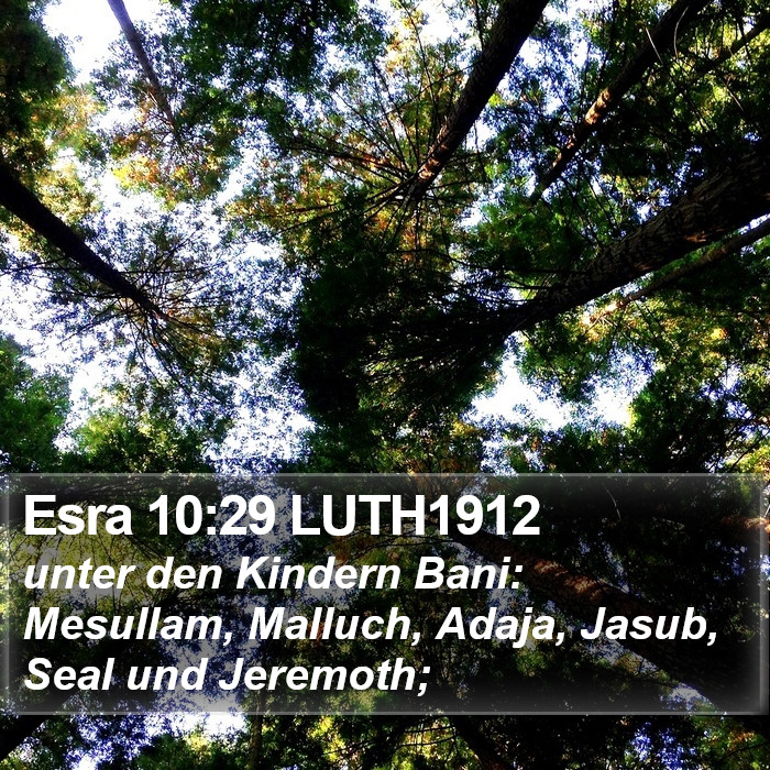 Esra 10:29 LUTH1912 Bible Study