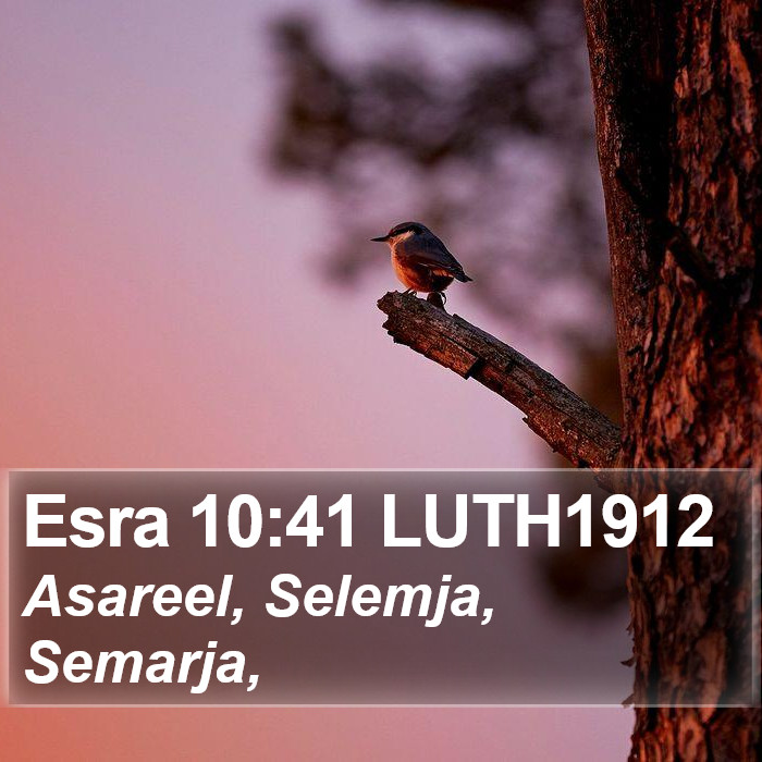 Esra 10:41 LUTH1912 Bible Study
