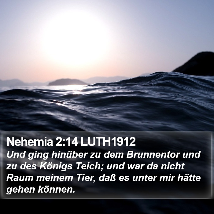 Nehemia 2:14 LUTH1912 Bible Study