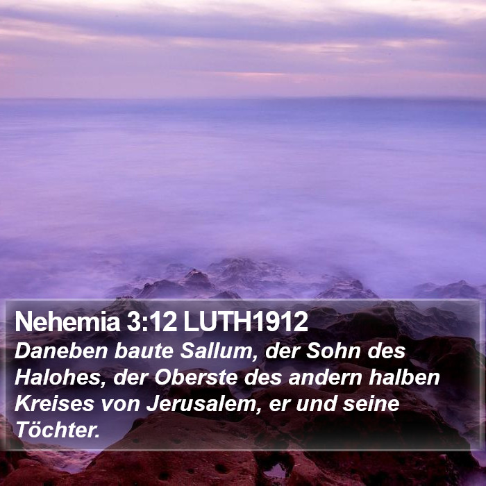 Nehemia 3:12 LUTH1912 Bible Study