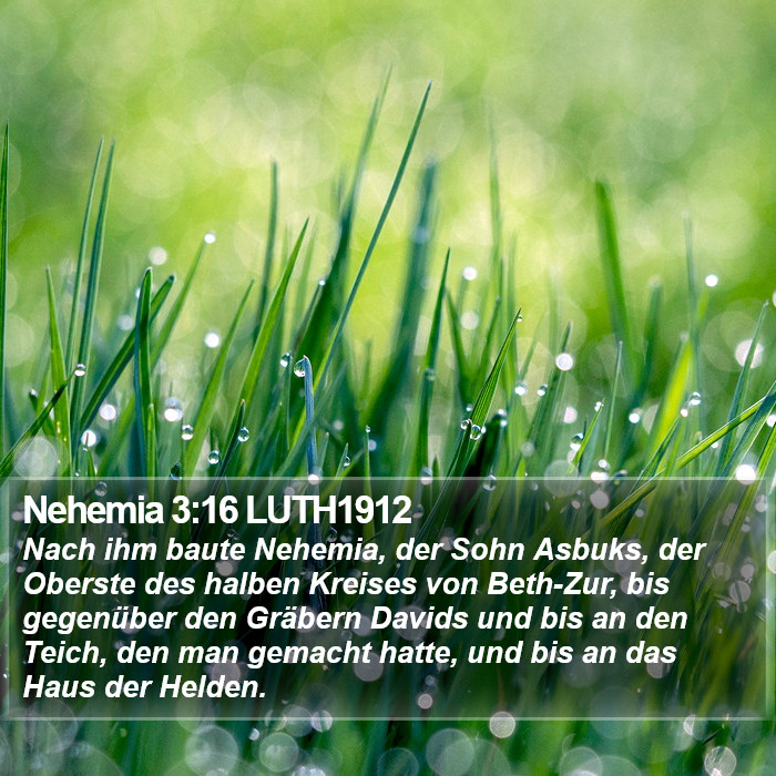 Nehemia 3:16 LUTH1912 Bible Study