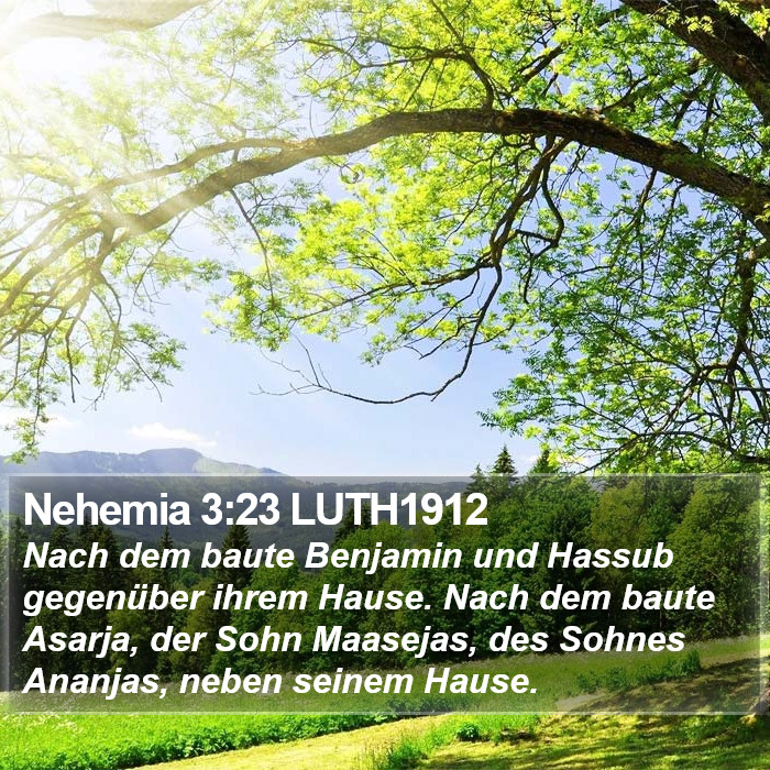 Nehemia 3:23 LUTH1912 Bible Study