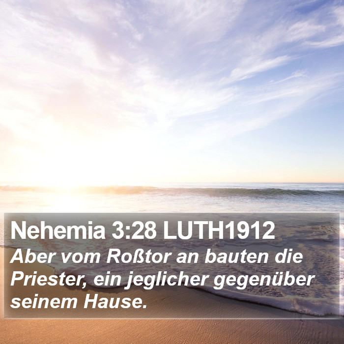 Nehemia 3:28 LUTH1912 Bible Study