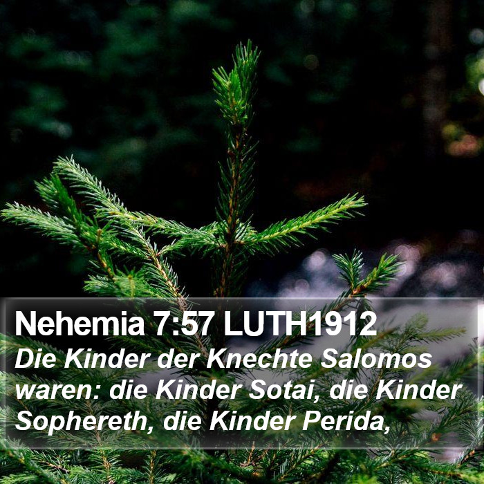 Nehemia 7:57 LUTH1912 Bible Study