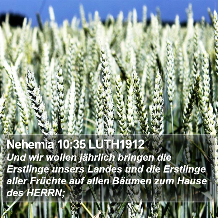 Nehemia 10:35 LUTH1912 Bible Study